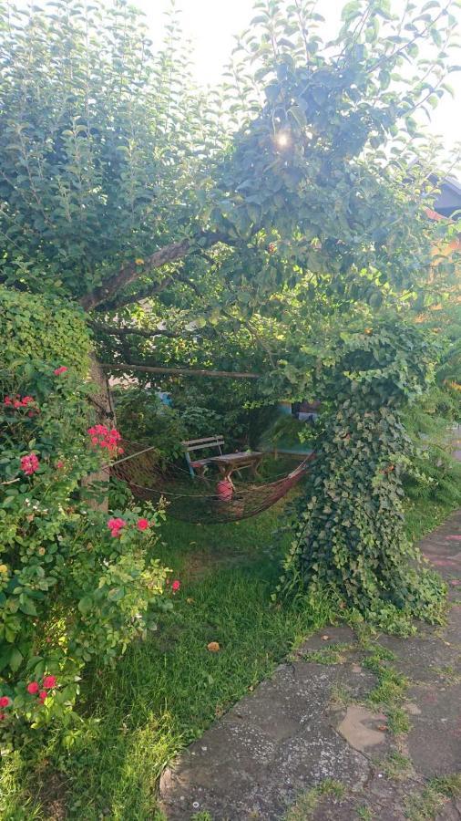 Appartamento Garickina Kuca Pirot Esterno foto